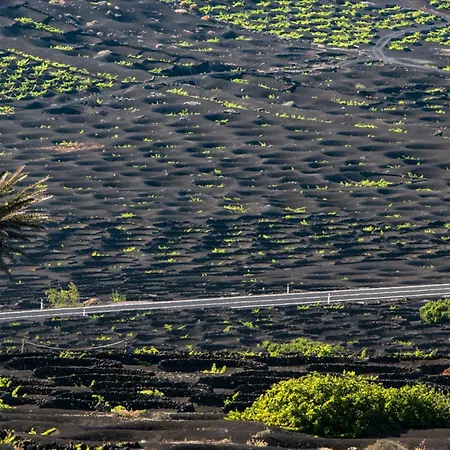公寓 Home2book Sunny Dream Puerto Del Carmen, Pool