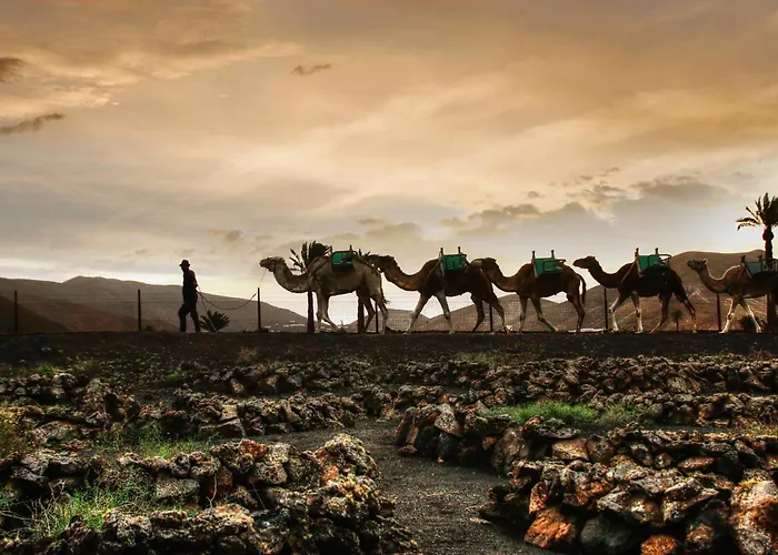 Home2book Sunny Dream Puerto Del Carmen, Pool
