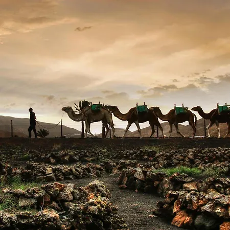 Home2book Sunny Dream Puerto Del Carmen, Pool