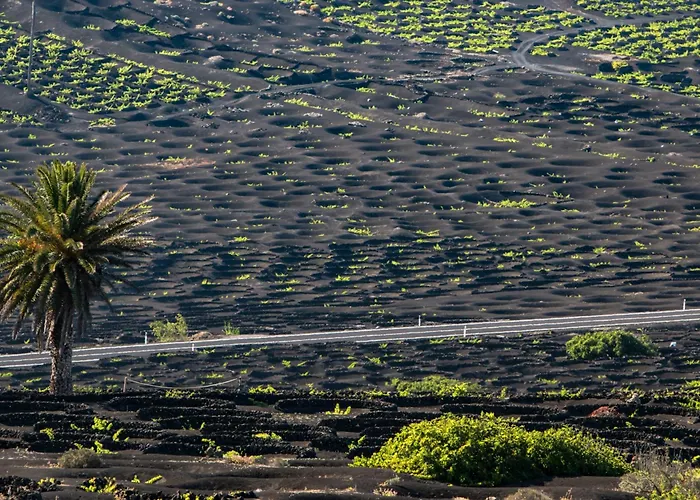 Apartamento Home2book Sunny Dream Puerto Del Carmen, Pool